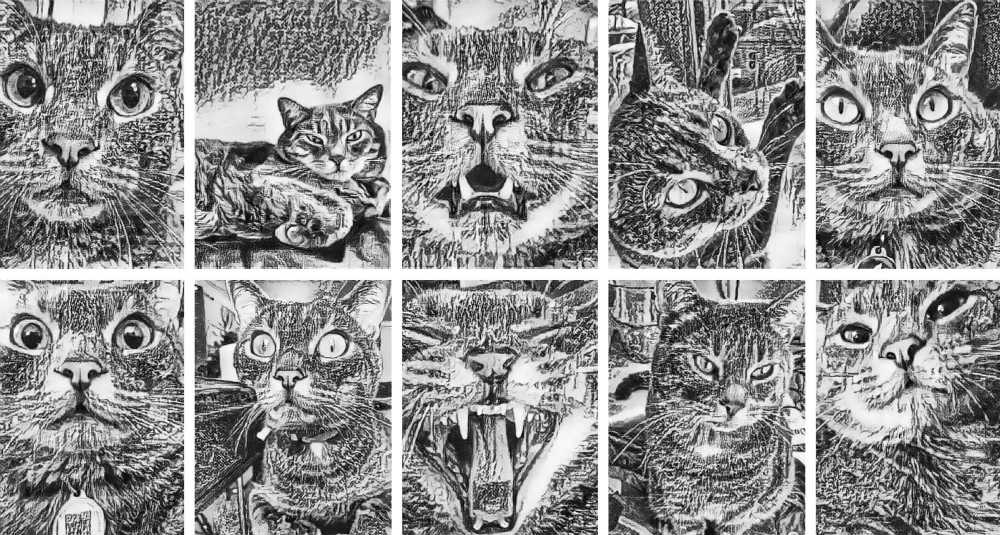 Neural Style Transfer: 50 Shades of Miaw