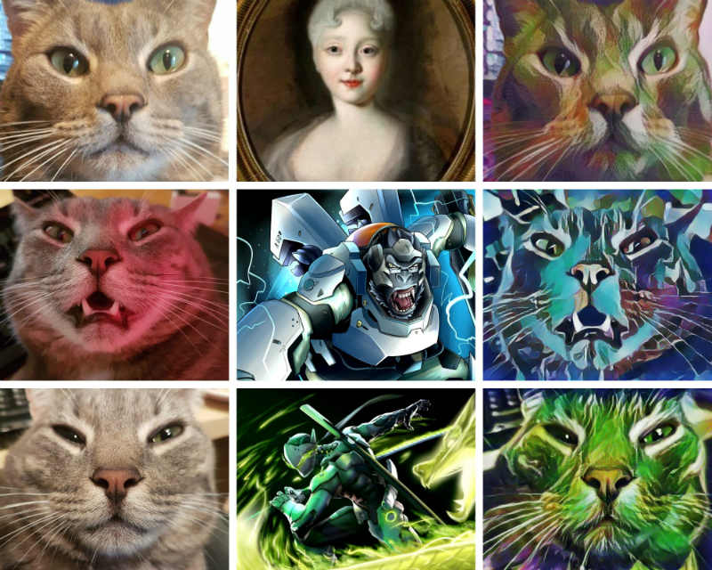 Neural Style Transfer: 50 Shades of Miaw